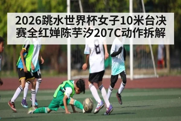 2026跳水世界杯女子10米台决赛全红婵陈芋汐207C动作拆解